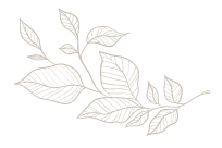 Minimal decorative leaf illustration graphic